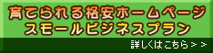 育てられる格安ホームページスモールビジネスプランのご提案